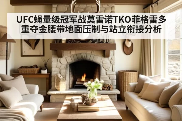 UFC蝇量级冠军战莫雷诺TKO菲格雷多重夺金腰带地面压制与站立衔接分析